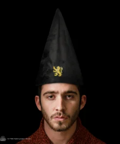 Alternative view of Student Hat - Gryffindor