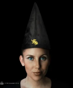 Alternative view of Student Hat - Hufflepuff