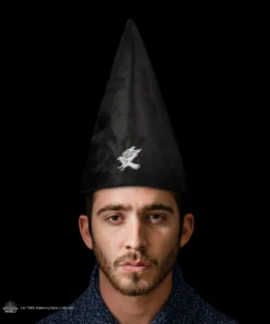 Alternative view of Student Hat - Ravenclaw
