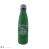 Let's Go Slytherin Insulated Water Bottle