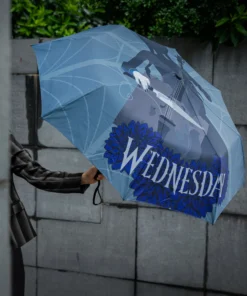 Alternative view of Umbrella - Wednesday with Cello