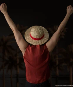 Alternative view of Luffy Straw Hat