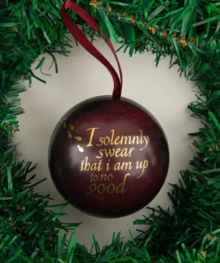 Alternative view of Marauder's Map Puzzle Holiday Capsule